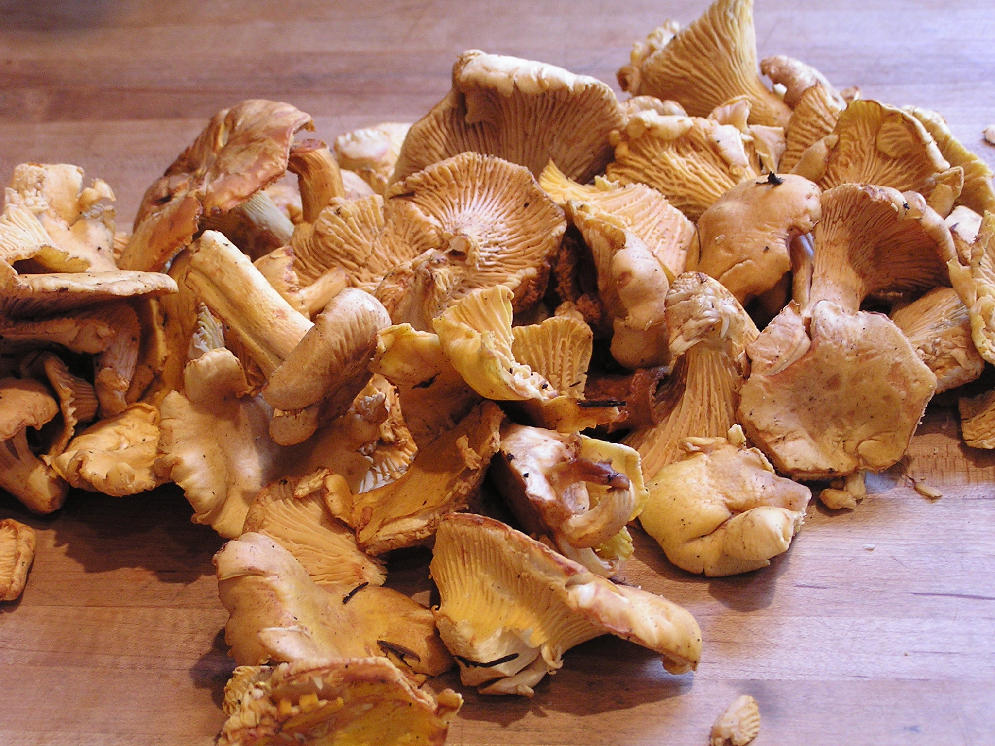Fresh Chanterelle Mushrooms