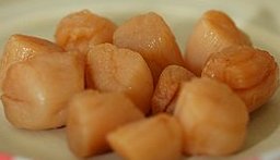 Raw Scallops